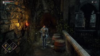 ＃3　オスと恋人【デモンズソウル初見動画】