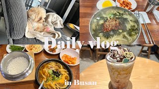 【vlog】貴重な平日休みにひとり時間満喫するvlog/온천장/부경대