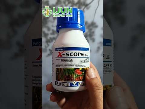 fungisida x-score penambah bobot