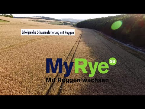 Saaten-Union: MyRye – Mit Roggen wachsen | Infotrailer