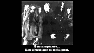 Shape of Despair - In the Mist (Subtítulos en Español)