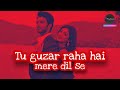 Tu Guzar Raha Hai Mere Dil Se Lyrical Ek Deewana Tha Vrindavan Productions