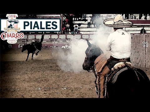 Perfume Caro - 2022 Zacatecas Congress - Piales in the Lienzo - October 29