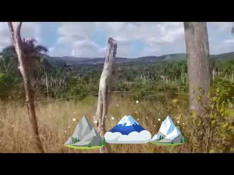 En busca de un "Curandero "en el Guayabo en Pinar del Rio. CUBA.🥶👹