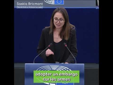 🇨🇩Guerre en RDC : l’UE doit agir maintenant !