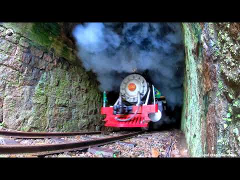 🇧🇷 Maria fumaça saindo do túnel / Steam leaving the tunnel - Apiúna/SC - 2021 - (Brasil)