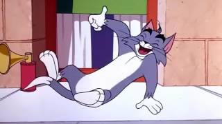 Tom and Jerry Ah Sweet Mouse Story of Life 1965