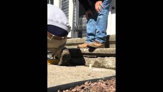 Watch video: Concrete Repair and Leveling