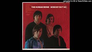 The Human Beinz-Black Is The Color Of My True Love's Hair (Mono)