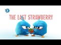 Angry Birds Blues The Last Strawberry S1 Ep21