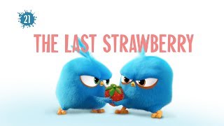 Angry Birds Blues | The Last Strawberry - S1 Ep21