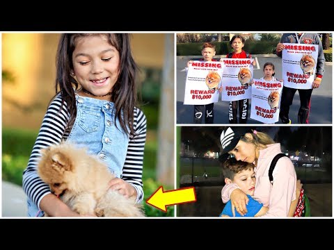 Story Of Our Puppy March Pom! *Part 3*