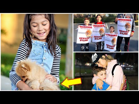 download lagu mp3 mp4 Pom Home, download lagu Pom Home gratis, unduh video klip Pom Home