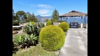 preview picture of video 'The Pine View Nursery or The Cactus Garden at Kalimpong'