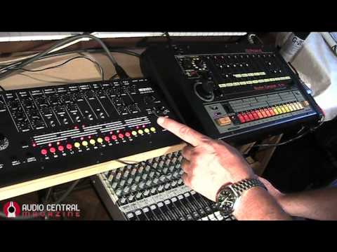 Acidlab Miami & TR808 rude comparison