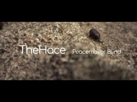 TheHace - Peacemaker Blind (Lyric Video)