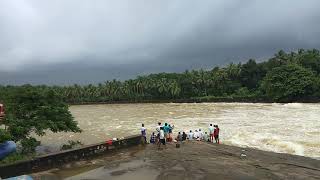 preview picture of video 'Effect of malampuzha dam gates opening on cheerakuzhi dam'