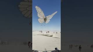 Would you ride this? 🦋 #burningman