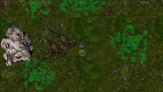 Bugs Stalking, and modding supported