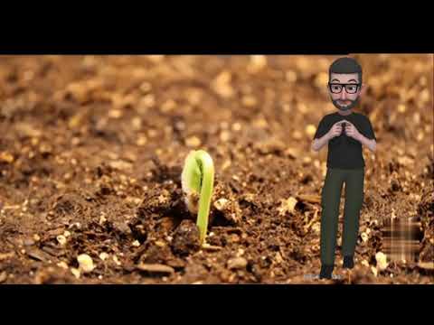 Devocional Diário - Deus não se esqueceu de Você - 02/12