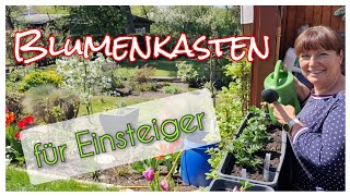 Blumenkästen bepflanzen für Anfänger - Eine Anleitung für Beginner