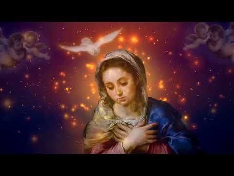 IV Domingo de Adviento (24.12.2023)