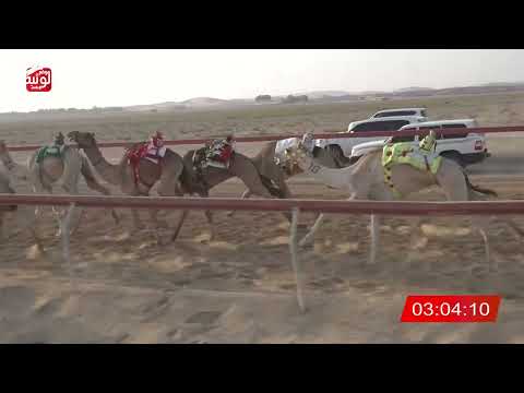  ش 12 (الشاعر) لـ إبراهيم سعيد صبيح الجديلي 6:1 , شارة الديوان 3 2026/10/05 سويحان لقايا 