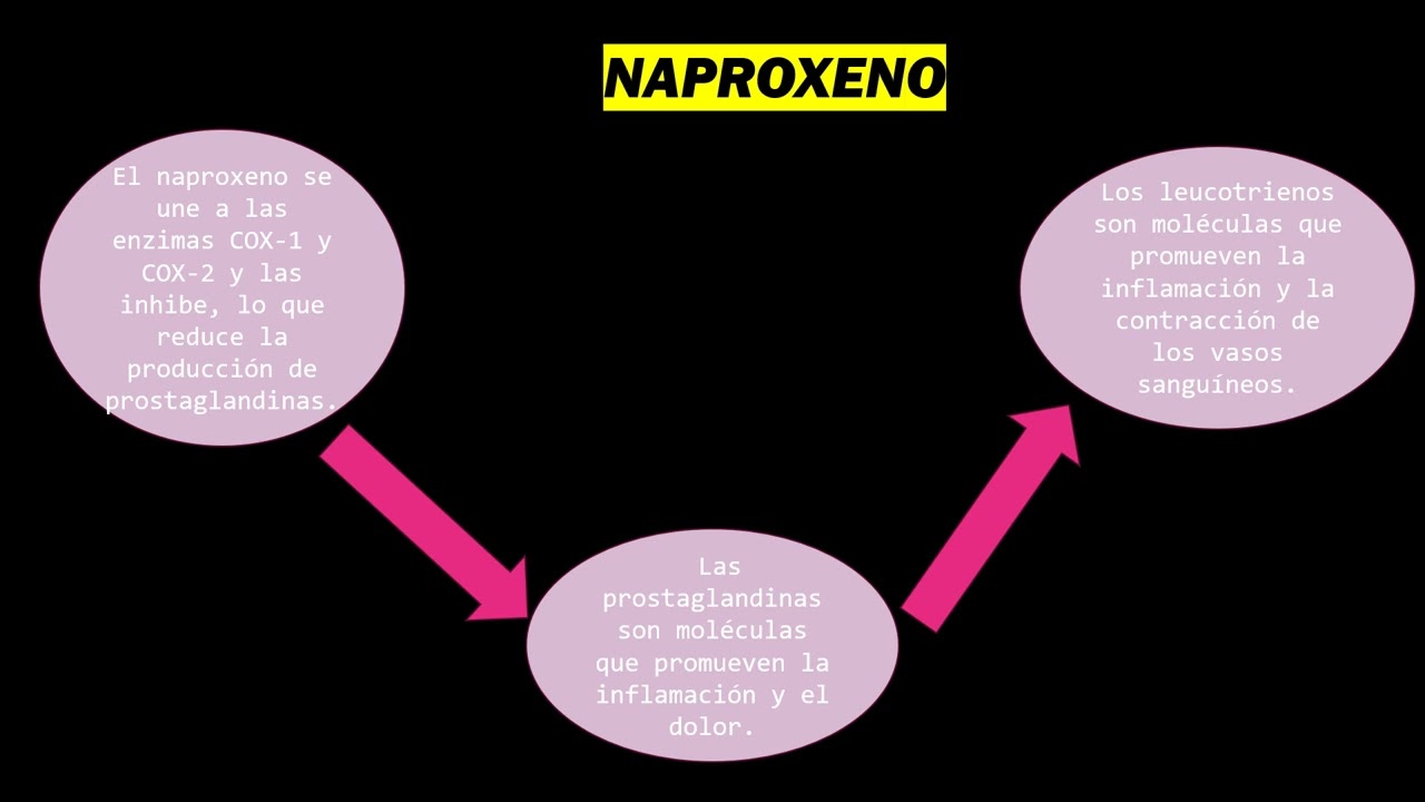 ANTIINFLAMATORIOS ESTEROIDEOS Y NO ESTEROIDEOS  POOT CHAN MICHELLE ALICIA 5TO B