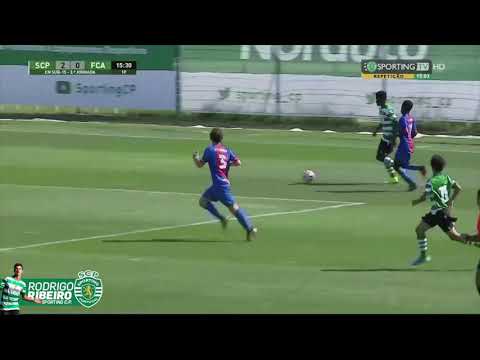 Rodrigo Ribeiro - Best Moments - Sporting CP - 2019