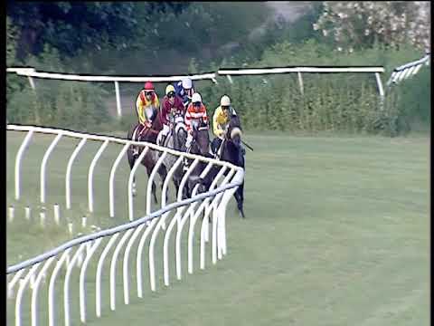 Galoppo 13/07/2019 - 3ª corsa