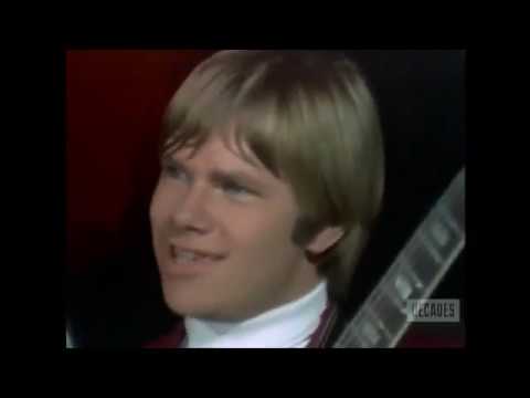 The Castaways - Liar, Liar (1965) (It's a Bikini World) (HQ MONO Audio)