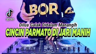 Download lagu DJ CINCIN PARMATO DI JARI MANIH REMIX FULL BASS TIKTOK TERBARU 2023 | DILUA GALAK DIDALAM MANANGIH mp3