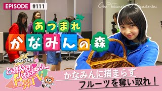 【挑戦】かなみんの森(目隠しかなみんからフルーツを奪え!!)epi 111