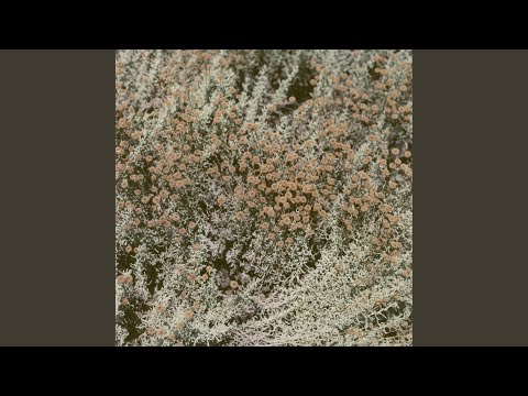 Stranger To Yourself - Loving