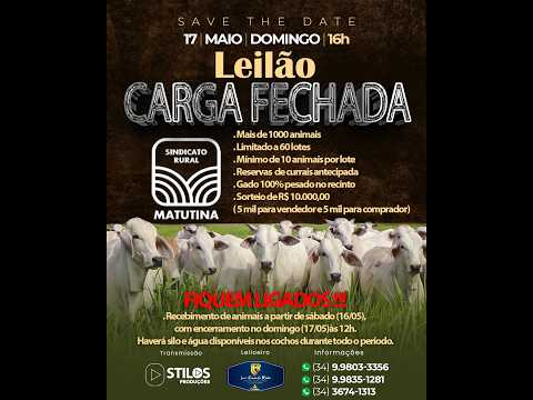 LEILÃO CARGA FECHADA 17/04/2026 - SINDICATO RURAL DE MATUTINA-MG