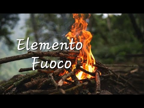 Elemento Fuoco - Cuore, Intestino tenue, Ministro del Cuore, Triplice Riscaldatore - (MTC)