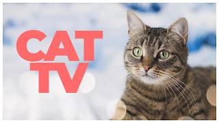 Cat TV 🐱 | Underwater Video Experience for Cats | Relaxation & Enrichment (6 Hours)