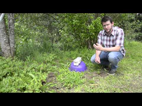 A home fit for a bumblebee