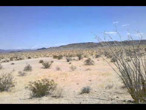 video-2010-08-08-11-00-33