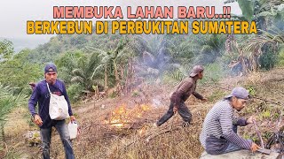 Download lagu MEMBUKA LAHAN BARU..!! BERKEBUN DI PERBUKITAN SUMATERA mp3 Download lagu MEMBUKA LAHAN BARU..!! BERKEBUN DI PERBUKITAN SUMATERA mp3