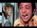 Vinod Mehra & Monkey - Funniest Comedy Scene - Do Phool Vinod Mehra & Monkey - Funniest Comedy Scene - Do Phool