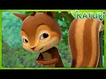 KATURI1 Character Episodes Squirrel Animals Compilation Katuri