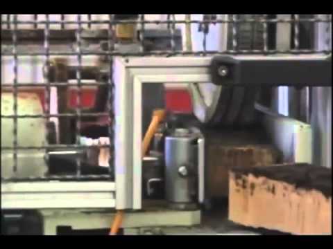 Realización de tapones de corcho ASECOR)