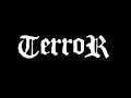 Terror  -  So Close To Defeat