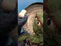 Cookie Monster Gives Oscar the Grouch a Hug #sesamestreet