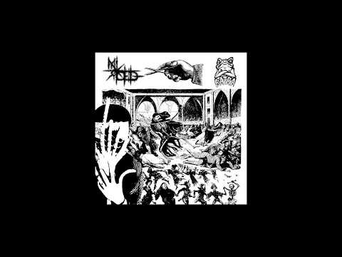 MIROED / BATRA - NEW SPLIT 2017