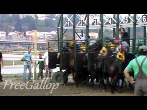 Beogradski hipodrom 30.09.2012.