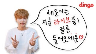 [실시간 라이브] 정세운(Jeong Sewoon) - 20 Something (LIVE Full ver.)