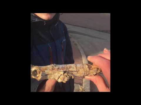 STICKS!!!!!! NO DAMAGE!!!!!!