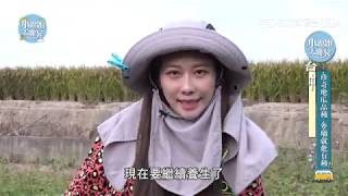 Farmer Girl台中金牌農村遊樂趣